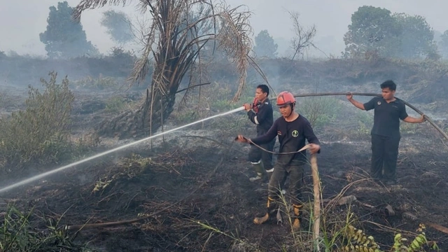 Gambar Sampul