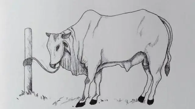 Gambar Sampul