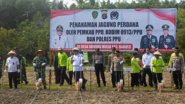 Gambar Sampul